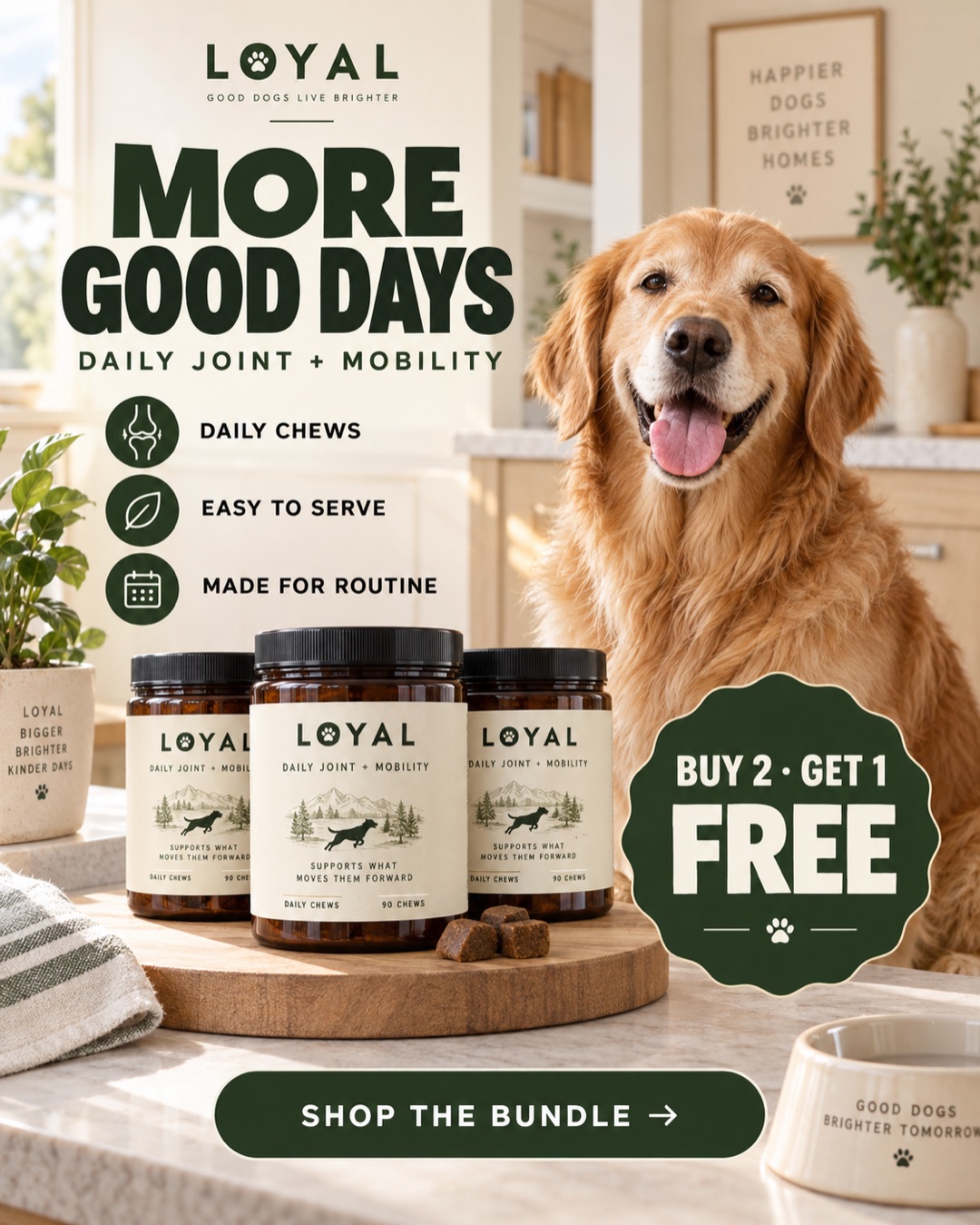 Originele RunCadre offer-ad voor fictieve pet supplements